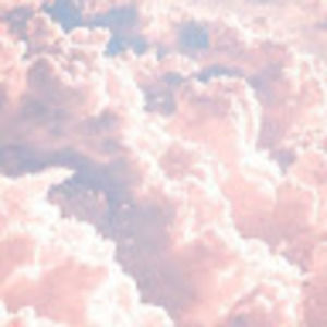 Meet your Posher, Stella